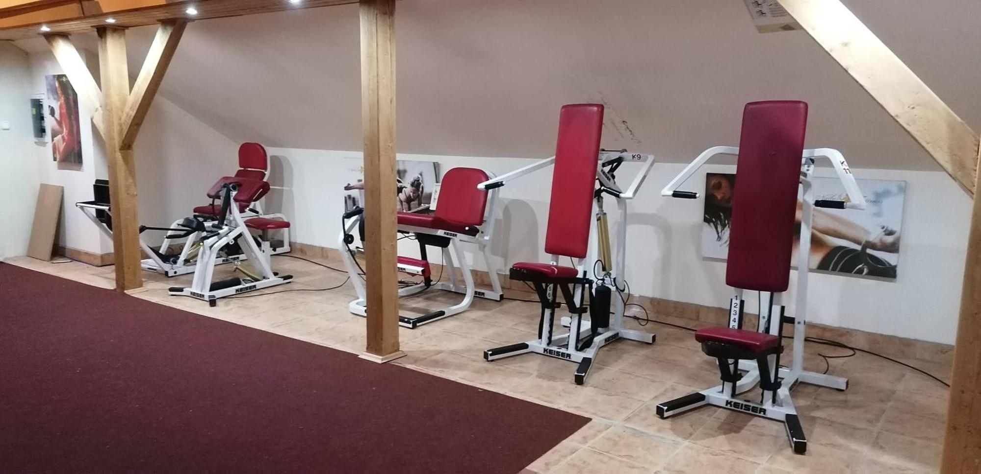 Castle Wellness Resort Sosto Ньиредьхаза Экстерьер фото